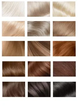 Hair Collection, shades, set of five colors. straight hair. Stock Photos
