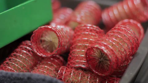 Hair curlers Video stock 32113669