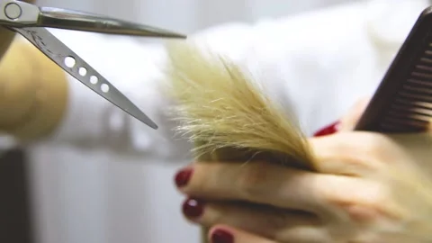 Hair cutting Stock Footage 168105056