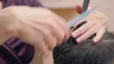 Hair cutting process, close shot. Master cutting clients hair with black comb Stock Footage 120229901