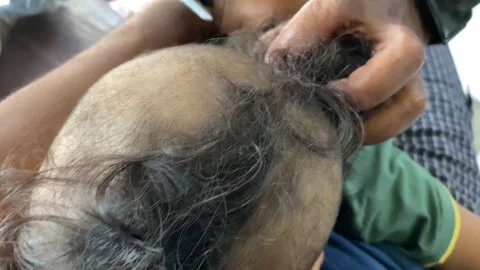Hair Cutting Techniques Stock Footage 295432490