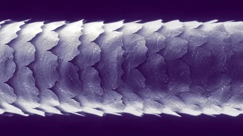 Hair damage Stock Footage 287440168