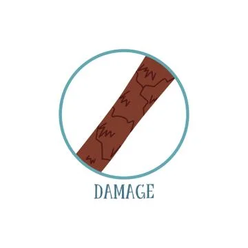 Hair damage - microscope view of brown brunette hair with cracked surface Stock Illustration