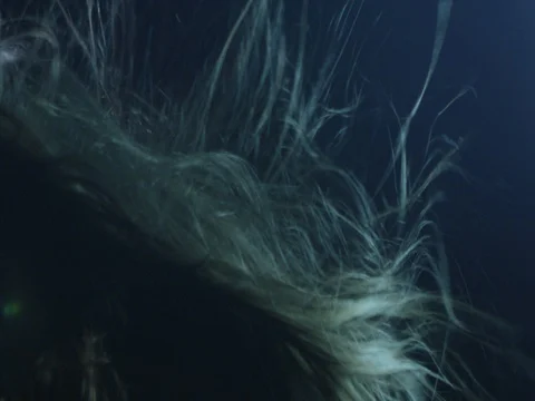 Hair flapping in the wind Vidéo 75285297