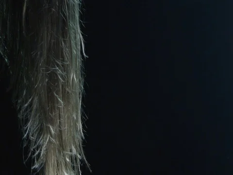 Hair flapping in the wind Vidéo 75287931