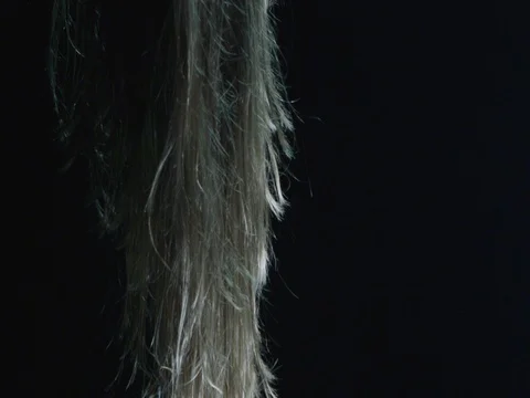 Hair flapping in the wind Vidéo 75288547