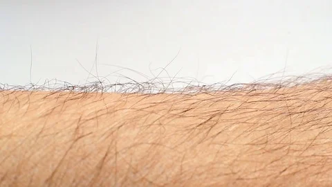 Hair On Human Skin Closeup Stock Footage