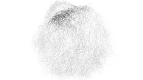 Hair Stock Illustration