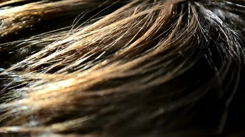Hair of a kid Stock-Footage 12517780