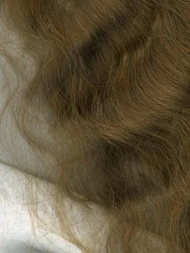 Hair Stock Photos