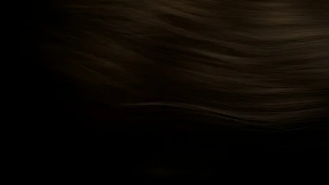Hair render SLOW MO BROWN EX Stock Footage 77512196