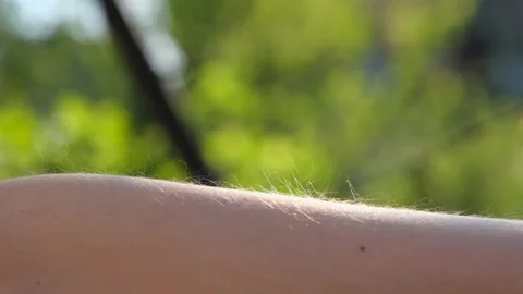 Hair rises from static electricity. An example of static electricity. Stock Footage 222330184