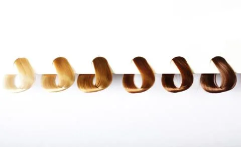 Hair samples of different colors Stock Illustration