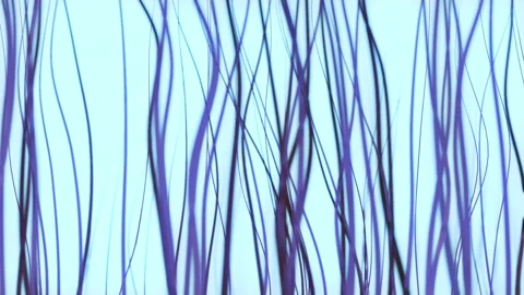 Hair simulation 스톡 동영상 172418282