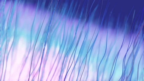 Hair simulation Stock Footage 172418482