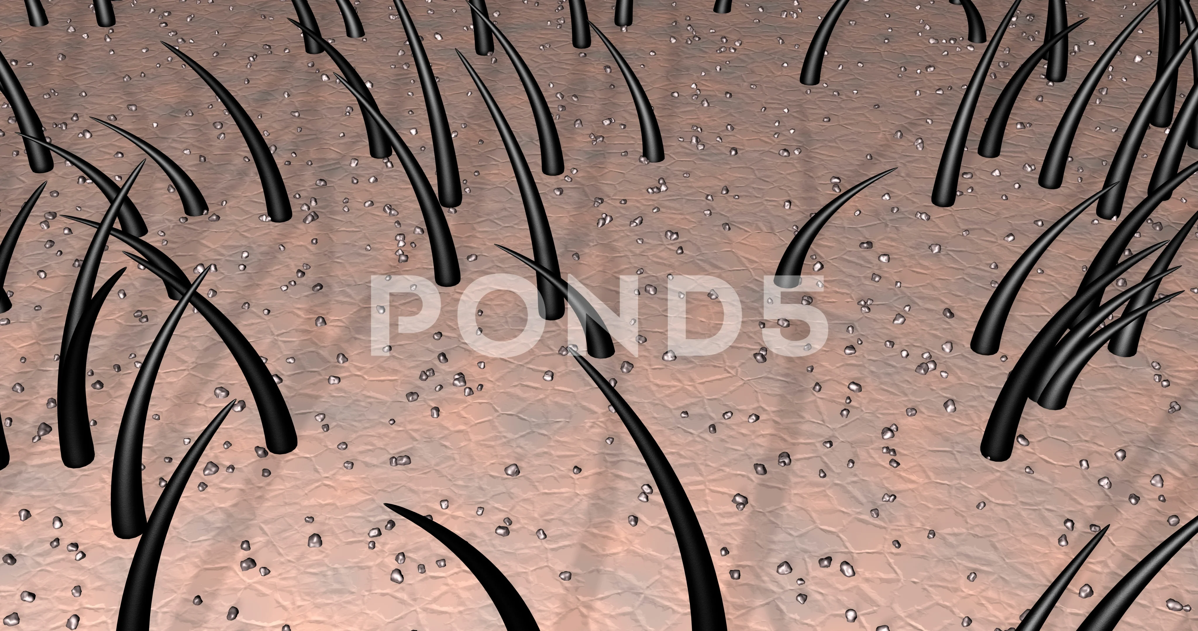 Hair on skin, scalp covered with dirt pa... | Stock Video | Pond5