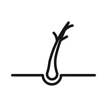 Hair Split Ends icon Black line art vector Stock Illustration