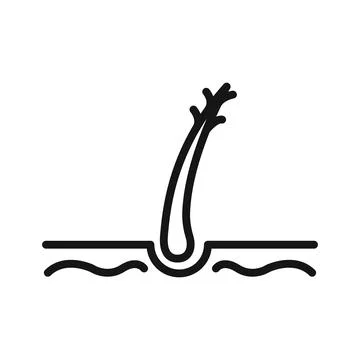 Hair Split Ends icon Black line art vector logo Stock Illustration