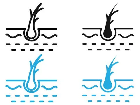 Hair Split Ends icon black and white vector outline sign Stock Illustration