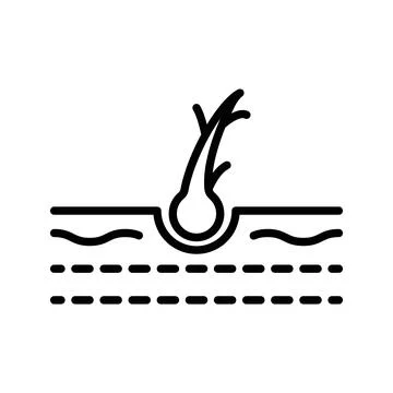 Hair Split Ends icon linear logo mark in black and white Stock Illustration