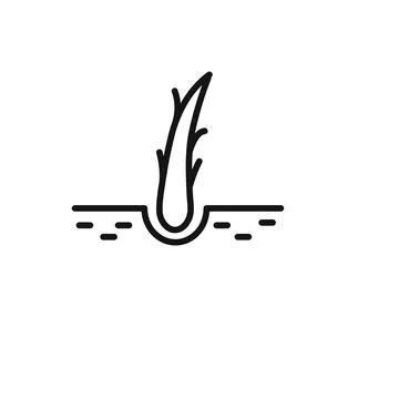 Hair Split Ends icon outline collection in black and on white background Stock Illustration