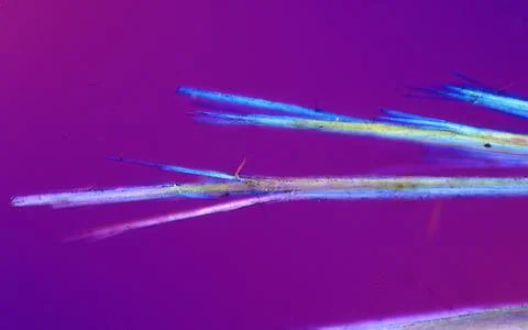 Hair with split ends under the microscope 100x Stock Photos