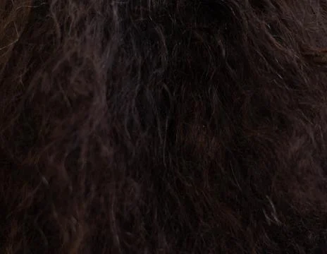 Hair texture before the established procedure Stock Photos