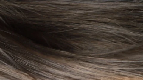 Hair texture Stock Footage 120682344