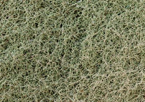 Hair texture Stock Photos