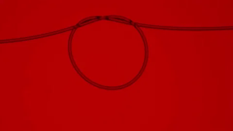 Hair that is tied into a round loop on a red background. Macro shot of a thin Stock Footage 232467976