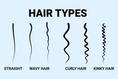Hair type classification. Straight, wavy, curly, kinky hair 스톡 일러스트