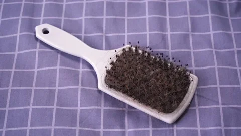 Hairbrush lying on the bed Stock Footage 152524868