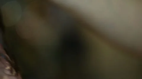 Haircut Stock Footage 11105052