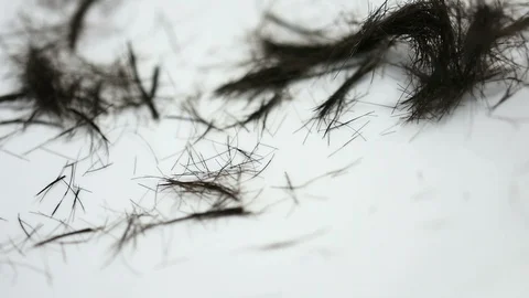 HairCut Video stock 105124951
