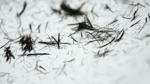 HairCut Stock Footage 105124976