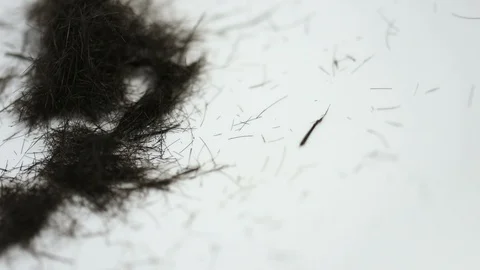 HairCut Video stock 105124985