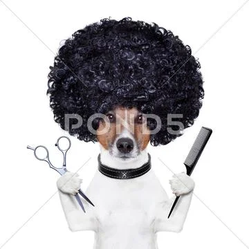 Hairdresser scissors comb dog Stock Illustration