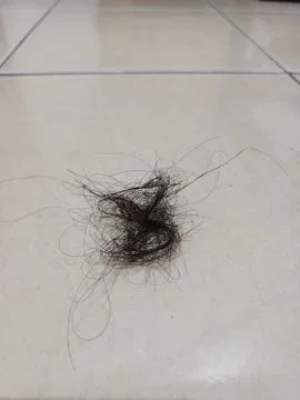 Hairfall1 Stock Photos