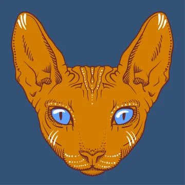 Hairless sphinx cat face graphics, outline Stock Illustration