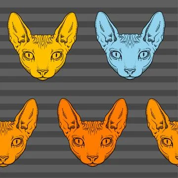 Hairless sphinx cat face graphics, pattern Illustrazione stock