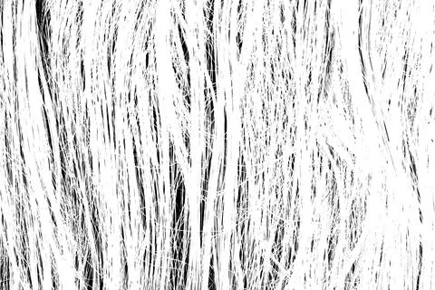 Hairs Illustrazione stock