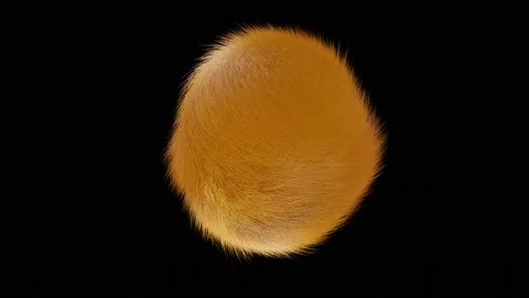 Hairy abstract spherical shape spinning in different directions on a black backg Stock-Footage 166696288
