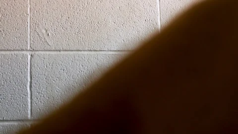 Hairy Body 2 Stock Footage 89688961