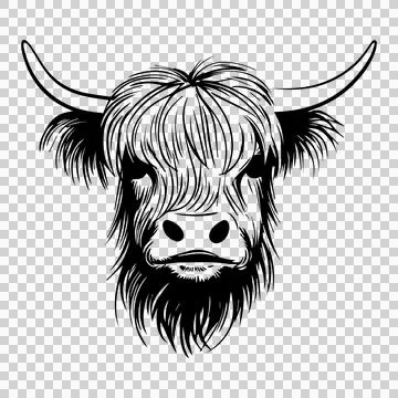 Hairy Bull Head Front View looking forward horn fur line art イラスト素材