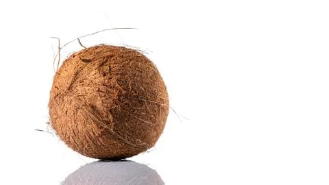 Hairy coconut on white background with reflection Foto stock