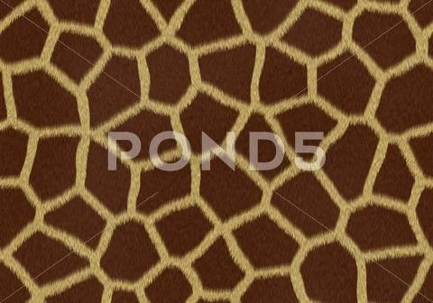 Hairy Giraffe texture Stock Photos