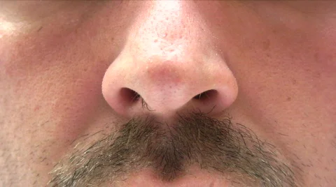 Hairy Nose Video stock 367569