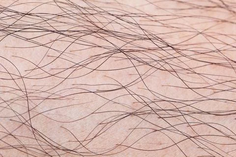 Hairy skin texture for pattern Stock Photos