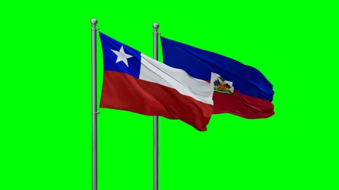 Haiti and Chile two flags Stock Footage 290408337