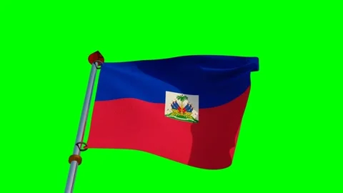 Haiti Flag in 3D Stock Footage 157080479